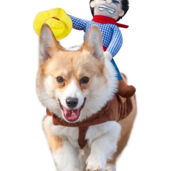 roupa cowboy para cachorro