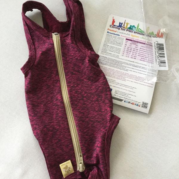roupa pós cirúrgica para gatos
