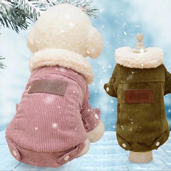 roupinha cachorro frio inverno