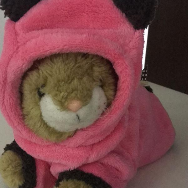 roupinha quentinha para pet