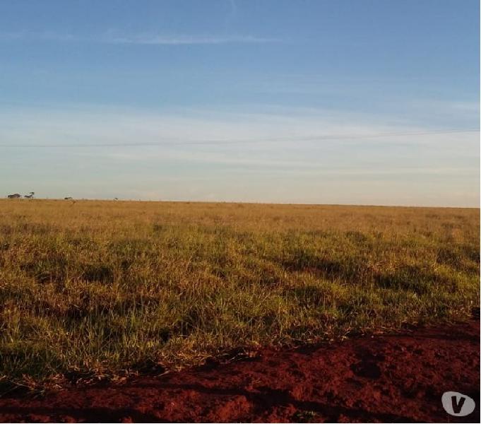 EXCELENTE FAZENDA COM 700 ALQUEIRES REGIÃO NOVA ALVORADA MS