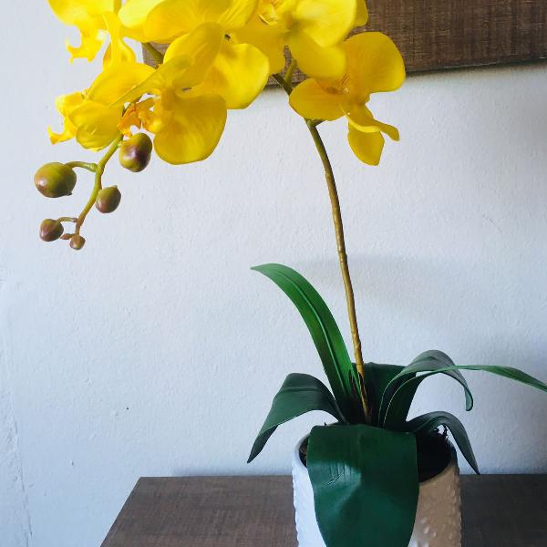 arranjo de orquídeas amarelas haste alta