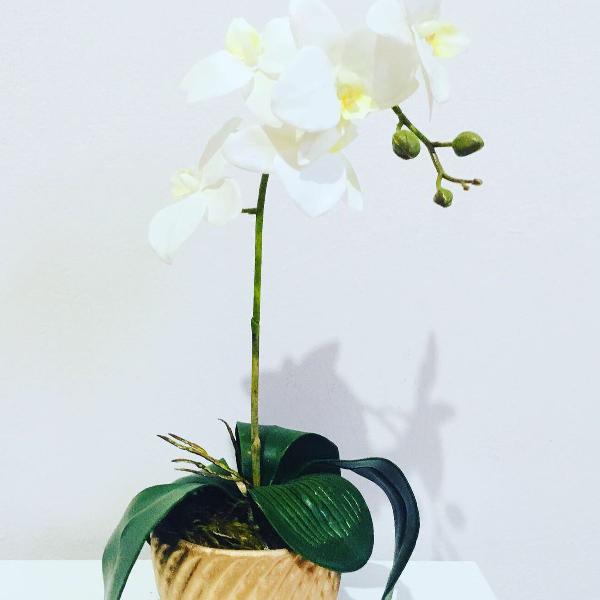 arranjo de orquídeas brancas em vaso rose gold