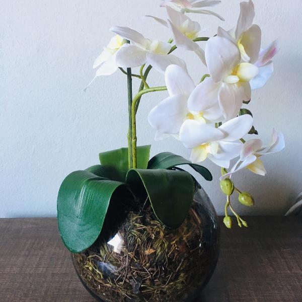 arranjo de orquídeas brancas perfeitas