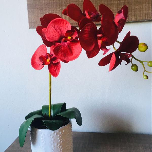 arranjo de orquídeas vermelhas haste alta