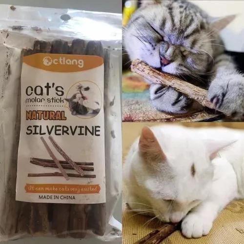 Varas Catnip Matatabi Limpa Dentes Deixa Gato Feliz 10 Unid