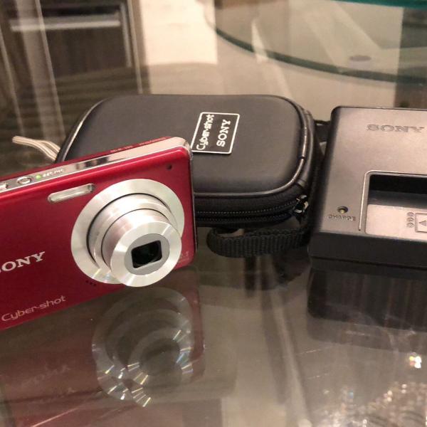 sony cybershot dsc-w190