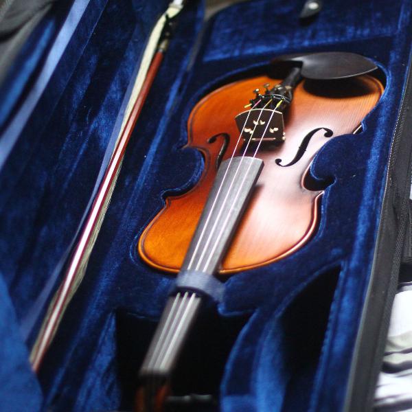 Violino Eagle NOVO!