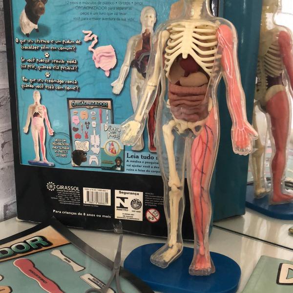 boneco corpo humano