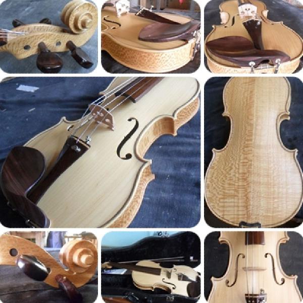 violino rolim