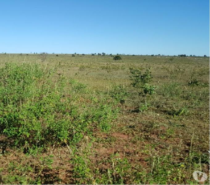 OPORTUNIDADE FAZENDA COM 2.026 HECTARES REGIÃO DE SONORA MS