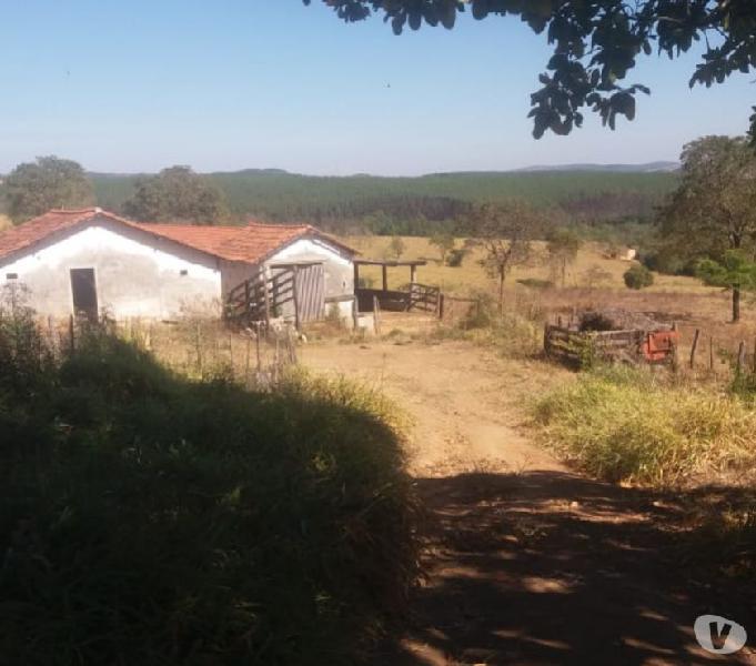 Vendo Fazenda com 108 Alqueires em Minas Gerais