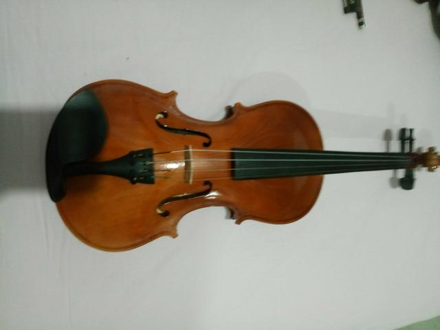 Violino