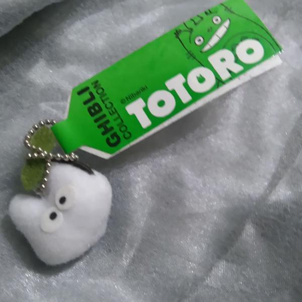 Totoro importado