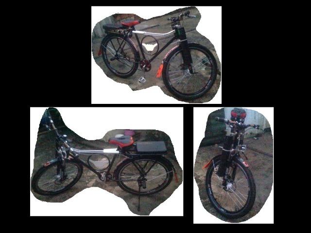 Bicicleta customizada