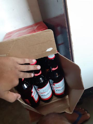 Budweiser 50 Reais 12 Cervejas