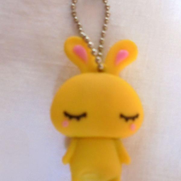 Pen Drive COELHINHO