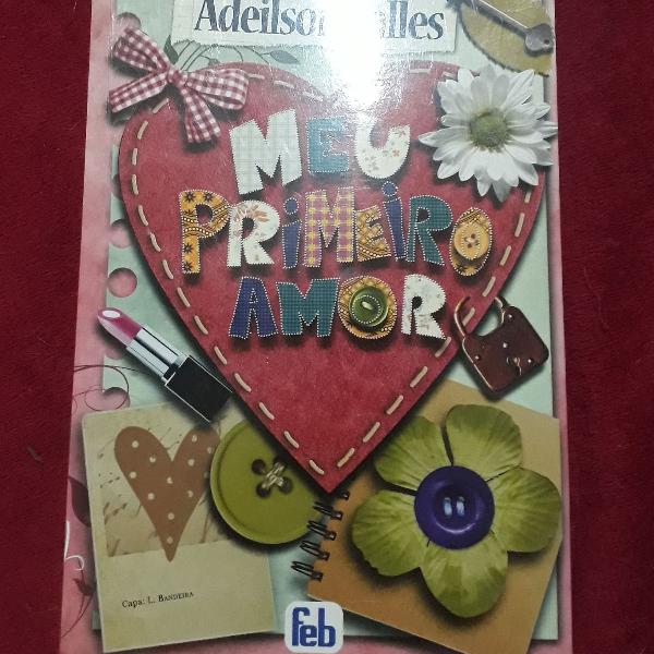 Livro - Meu primeiro amor