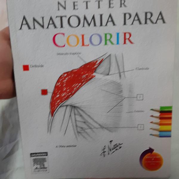 Atlas humano Netter para colorir