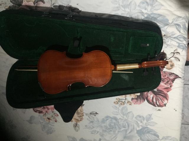 Violino