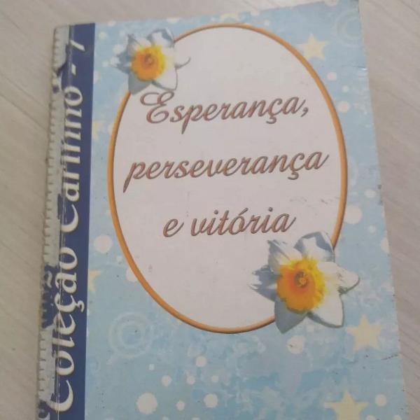 esperança, perseverança e vitória