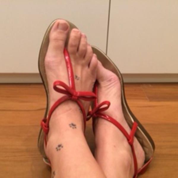 Rasteirinha Dorothy