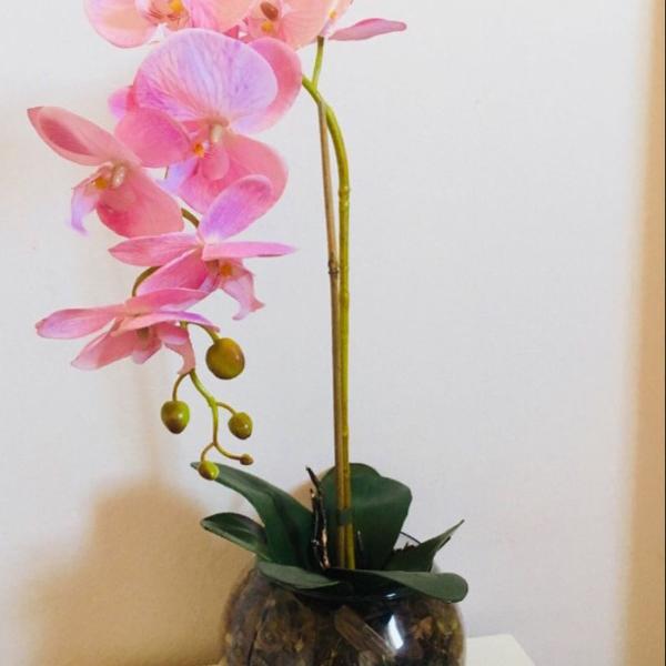 arranjo de orquídeas rosa haste alta em vaso de vidro