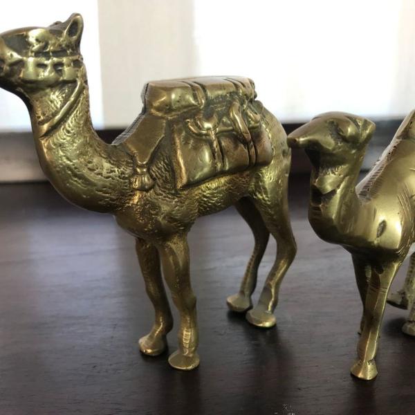 camelos em bronze