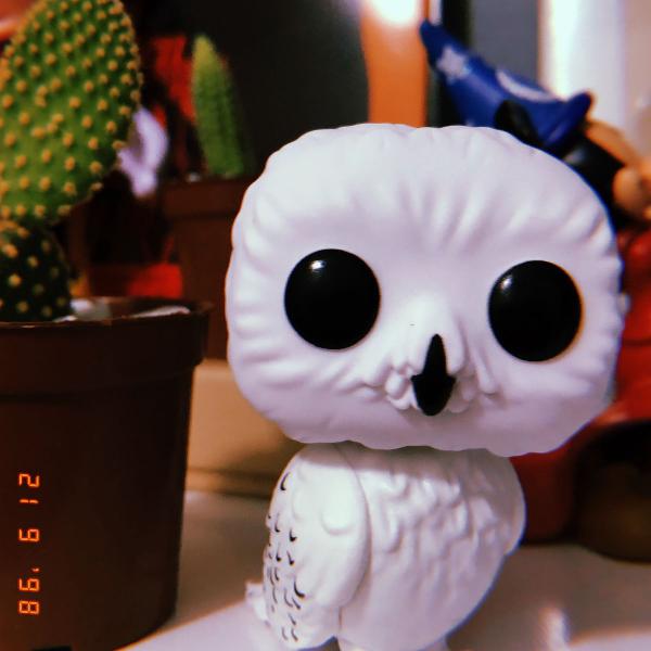 funko pop hedwig