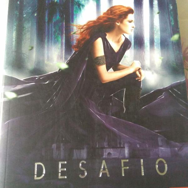 livro desafio