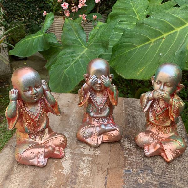 trio budinhas sábios