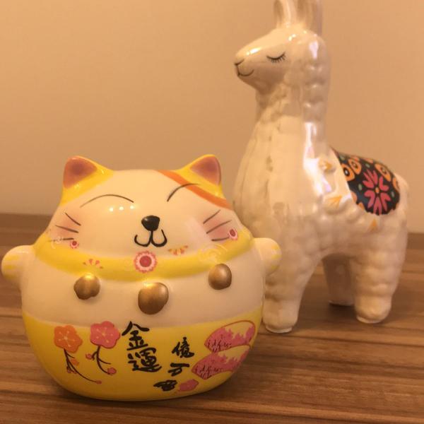 uma llama e um gato da sorte