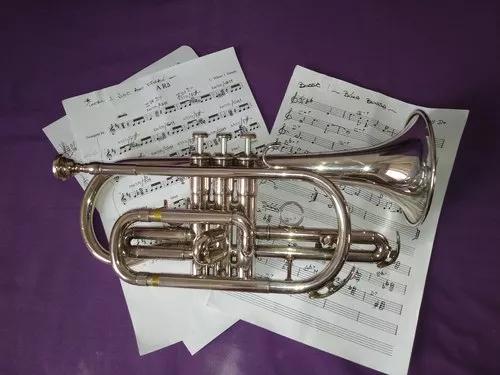 Aulas De Trompete E Teoria Musical