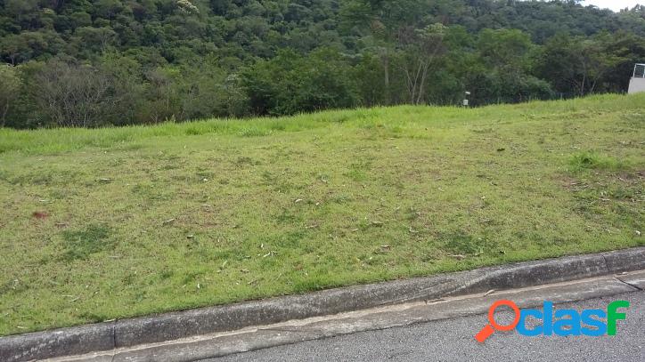 GENESIS 2 FUNDO PRA MATA!