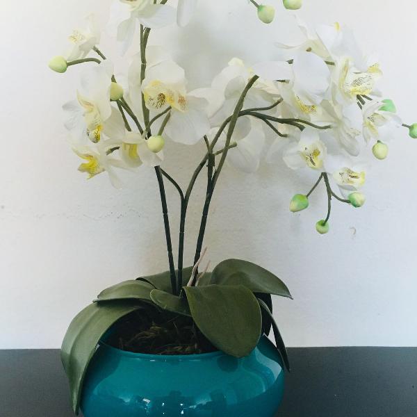 arranjo de orquídeas brancas em vaso azul turquesa