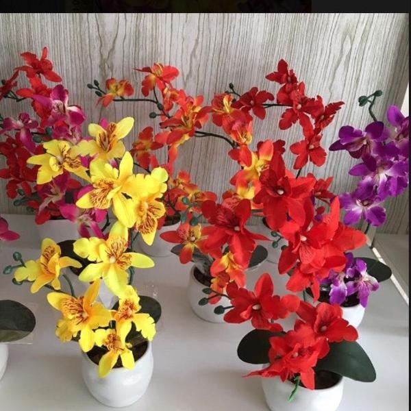 vaso com orquídea