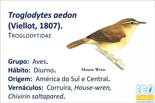 Placas De Identificação Para Aves - Qr Code - Coloridas