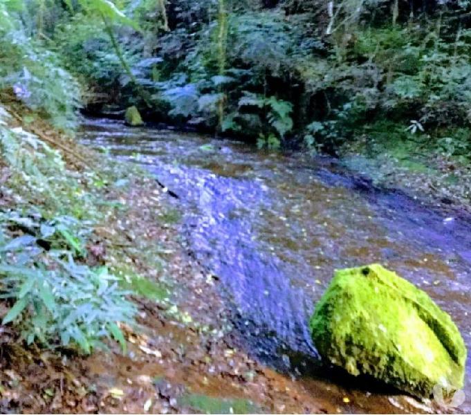 Sitio de 3 HA em Serra Grande, Gramado