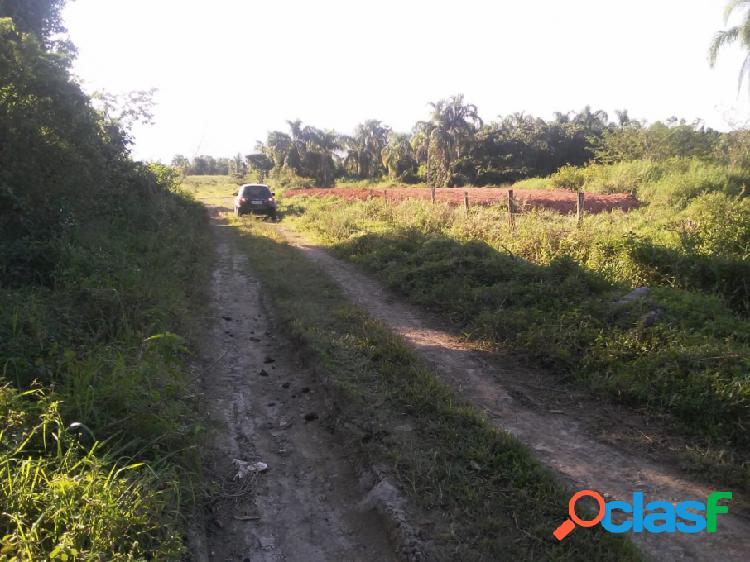 Terreno - Venda - Caraguatatuba - SP - Golfinhos