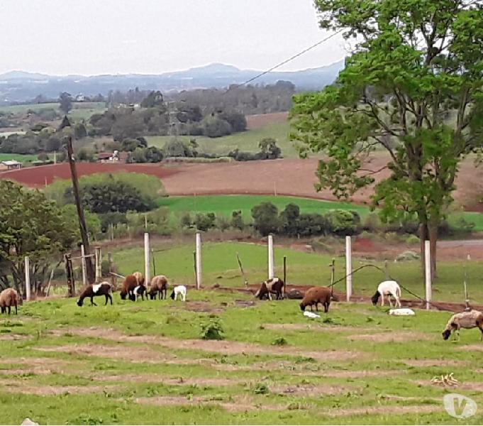 Sitio de 2,2 ha em Cruzeiro do Sul com casa de 3 dorm