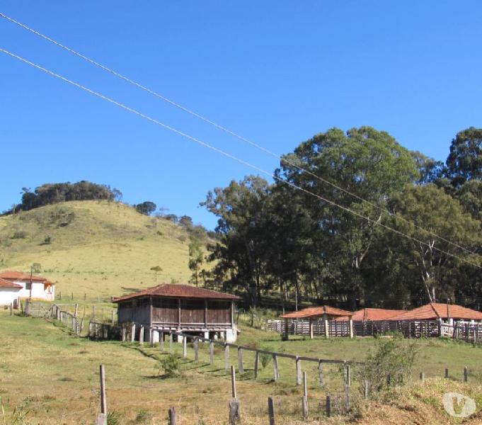 Fazenda no sul de Minas, 130 km de São Paulo.