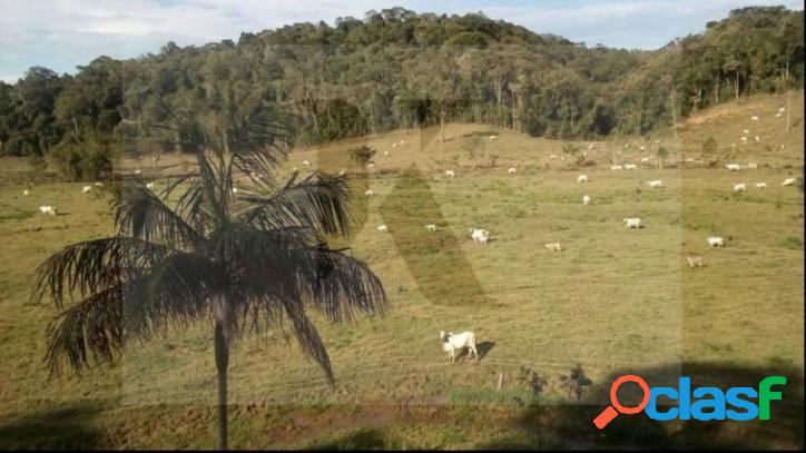 Fazenda para Venda em Registro / SP no bairro Centro