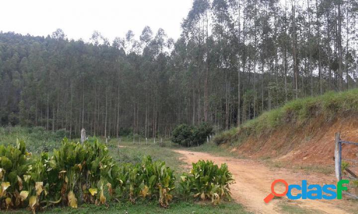 Fazenda para Venda em Tremembé / SP