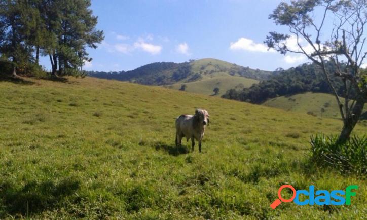 Sítio À Venda em Paraibuna / SP com 07 Alqueires