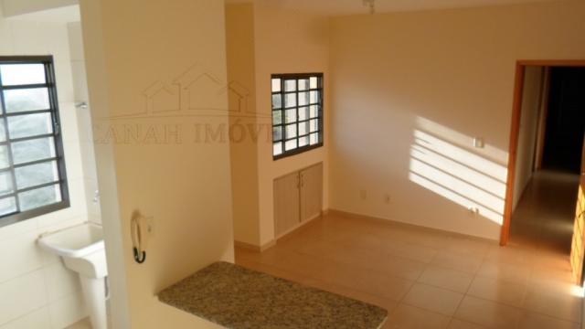 Apartamento para alugar com 1 dormitórios em Monte alegre,