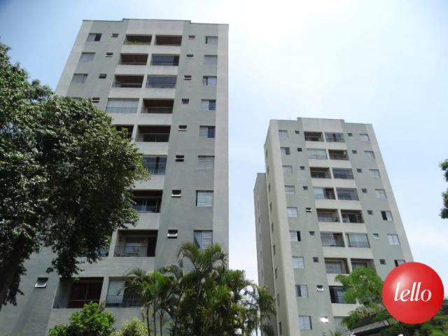 Apartamento para alugar com 2 dormitórios em Vila matilde,