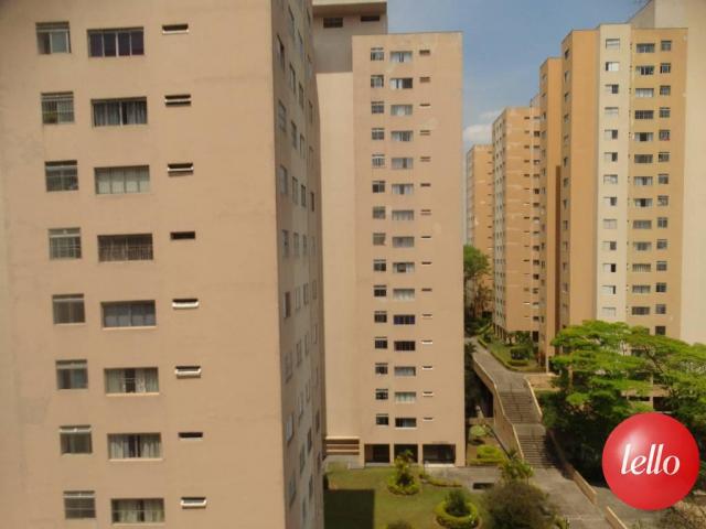 Apartamento para alugar com 3 dormitórios em Butantã, São