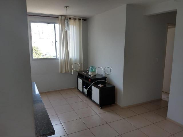 Apartamento para alugar com 3 dormitórios em Cambuí,