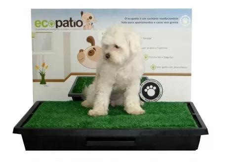 Sanitario Canino P/ Cães Grama Ecopatio Pet Park +barato!