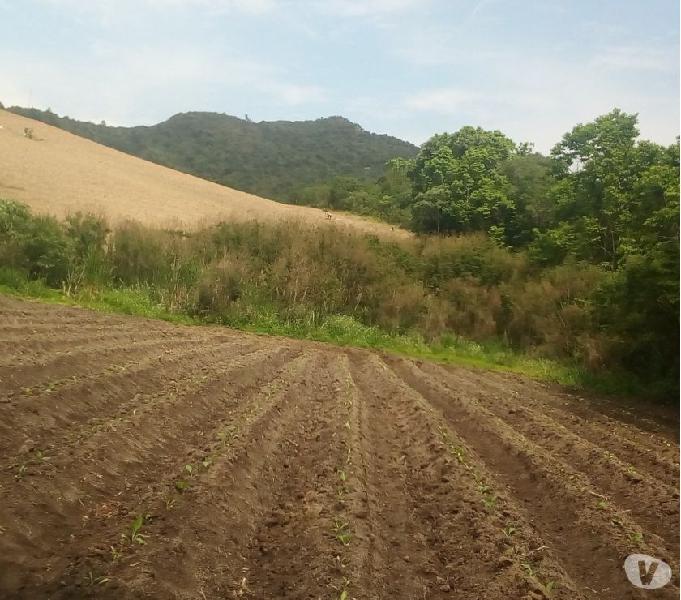 Terreno rural com 5.6990 ha
